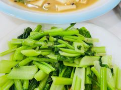 -煲来饱去冷水鱼