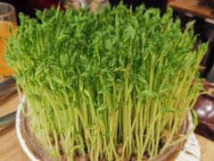-好彩猪肚鸡(正弘城店)