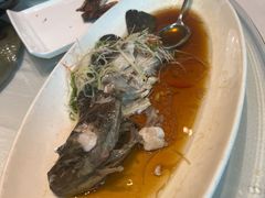 -骏莱海鲜鱼港(五角场店)
