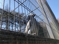 -宁波野生动物园