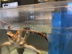 -新港海鮮