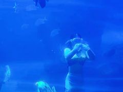 -左海海底世界