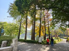 -晓港公园