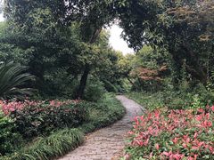 -韩湘水博园