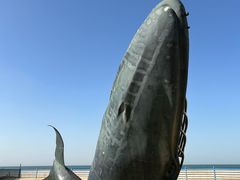 -烟台金沙滩海滨公园