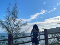 -广东惠东海龟国家级自然保护区