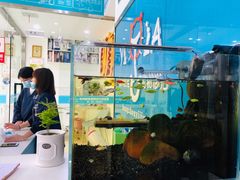 -萌兽医馆·宠物医院·猫骨科(创景店)