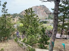 -西霞口神雕山野生动物世界