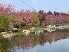 -石家庄市植物园