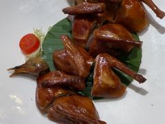 红烧乳鸽-东海海鲜酒家(中信广场店)