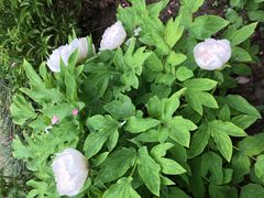 -狼山风景名胜区