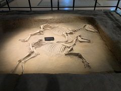 -洛阳周王城天子驾六博物馆