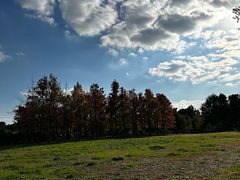 -昆山城市生态森林公园