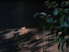 -元白和创园展厅