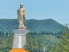 -中原大佛景区