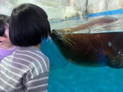 -左海海底世界