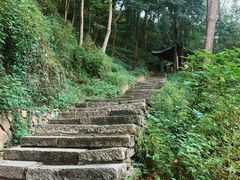 -严子陵钓台(富春江小三峡)