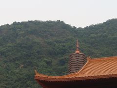 -深圳仙湖植物园