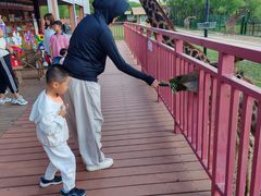 -鄂尔多斯野生动物园