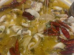 -太二酸菜鱼(石家庄万象城店)