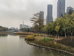 -映月湖公园
