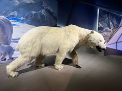 -贝林大翅鲸简餐厅(国家海洋博物馆店)