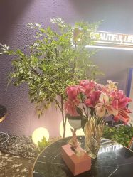 -花隐·美芙炫海菲秀皮肤管理中心