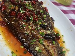 -7890+霸王甲·甲鱼爱尚蛙(坪洲店)