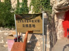 -仙蘑洞
