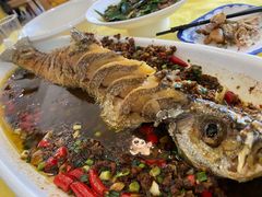 -胖大姐黄辣丁鱼庄(新津店)