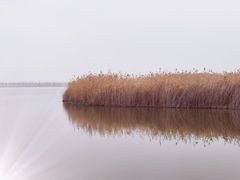 -野鸭湖国家湿地公园