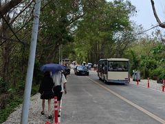 -广东惠东海龟国家级自然保护区