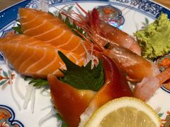 -森味薪火烧•烧鸟居酒屋•日本料理(望京店)