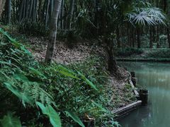 -同里国家湿地公园