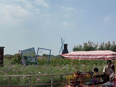 -宁波杭州湾国家湿地公园