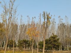 -东郊湿地公园
