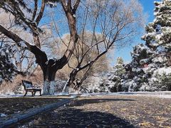 -北陵公园