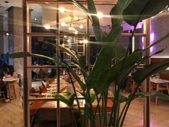 -The Rug Cafe(王府中环店)