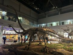 -自贡恐龙博物馆