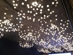 -西安威斯汀大酒店·宴会厅