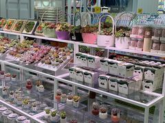 -KKV(天津津南吾悦广场店)