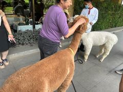 -南宁荔园维景国际酒店·荔园中餐厅