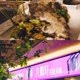 吃火锅|首选九鼎轩脆毛肚火锅