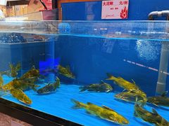 -鼎原力量东北吊炉烧烤(幸福街店)