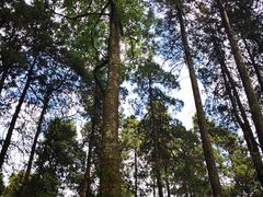 -苍山感通索道