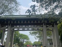 -王借岗森林公园