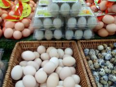 -秋林公司(北大街店)