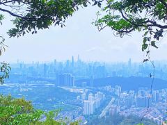 -梧桐山风景名胜区