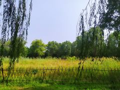 -东升八家郊野公园