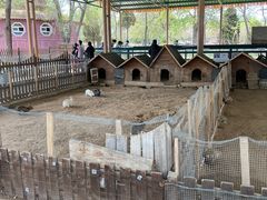 -秦皇岛野生动物园